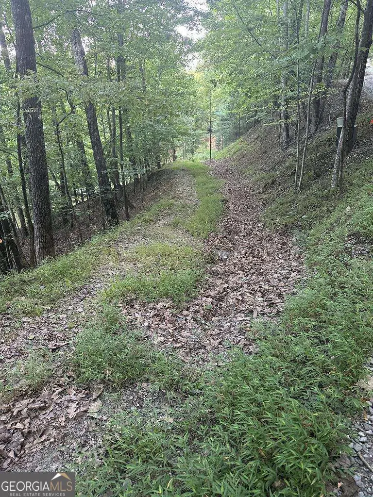 335 Deer Run Lane, Morganton, GA 30560 - #1