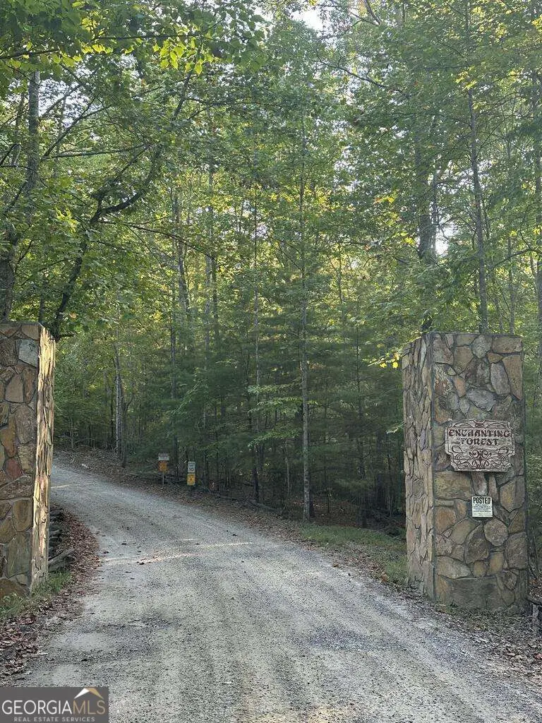 335 Deer Run Lane, Morganton, GA 30560 - #2