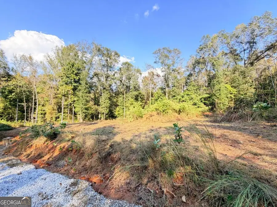115 Mary Lane, Maysville, GA 30558 - #3
