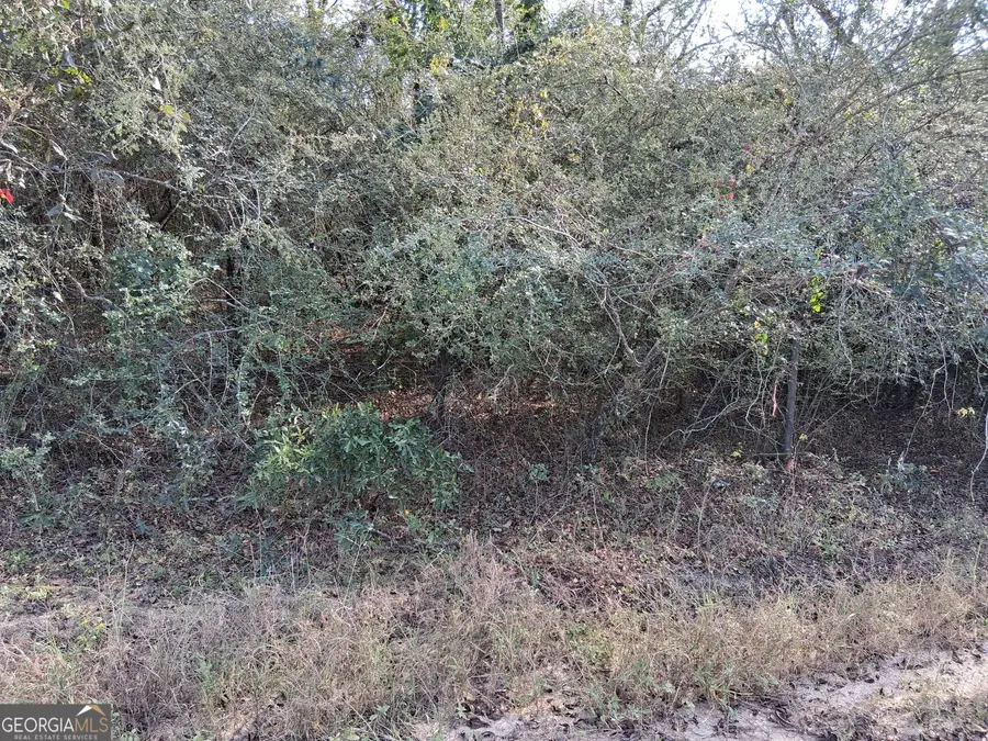 0 Tennille Harrison Road, Tennille, GA 31089 - #3