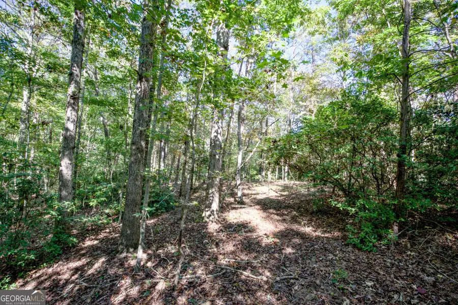16 AC Soapstone Road, Banks, GA 30511 - #2