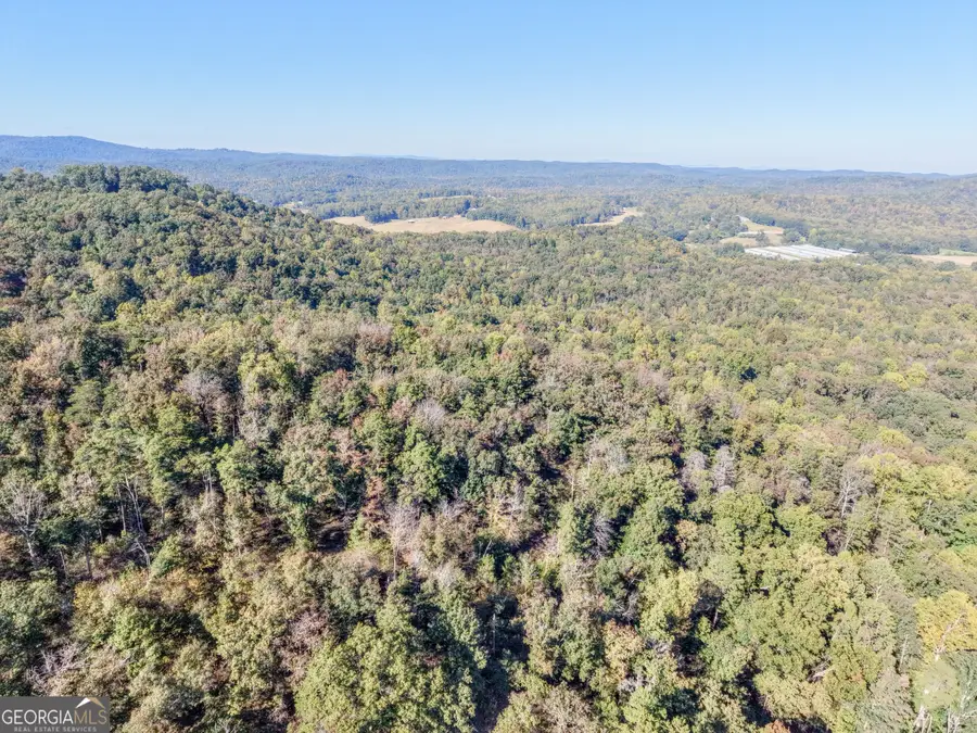 52 AC Soapstone Road, Banks, GA 30511 - #3