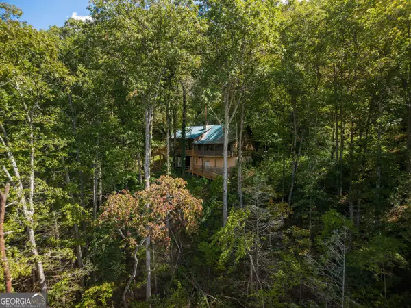 808 Mill Stone Mountain Lane, Blue Ridge, GA 30513