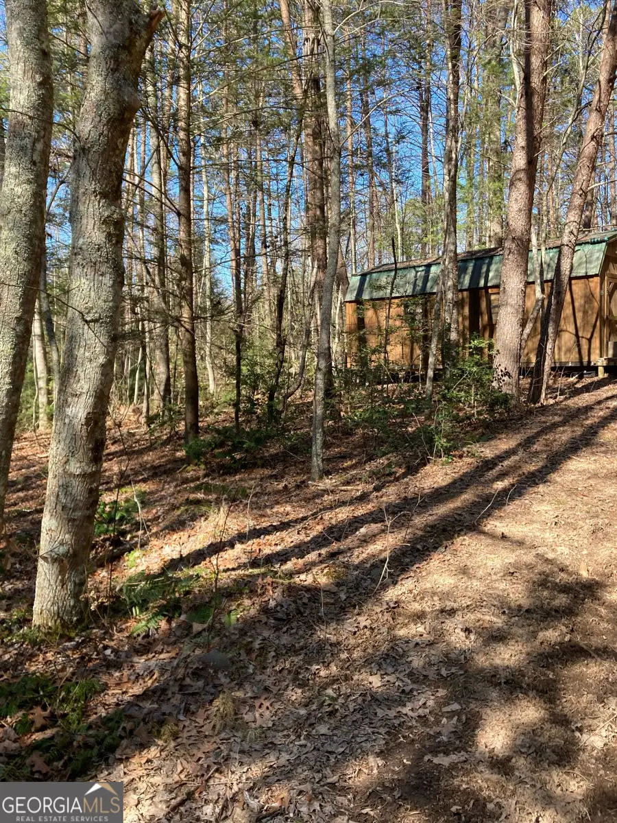 LT 1 Barker Lane, Blue Ridge, GA 30513 - #3