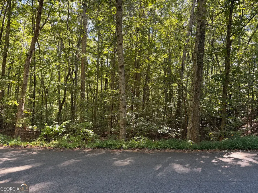 0 Timbergate Trail, Blairsville, GA 30512 - #3