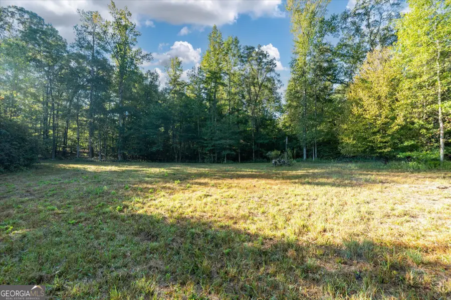 1993 Ferry Road, Franklin, GA 30217 - #3