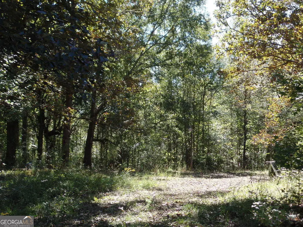 8.37 AC Dixon Rd, Newnan, GA 30263 - #1