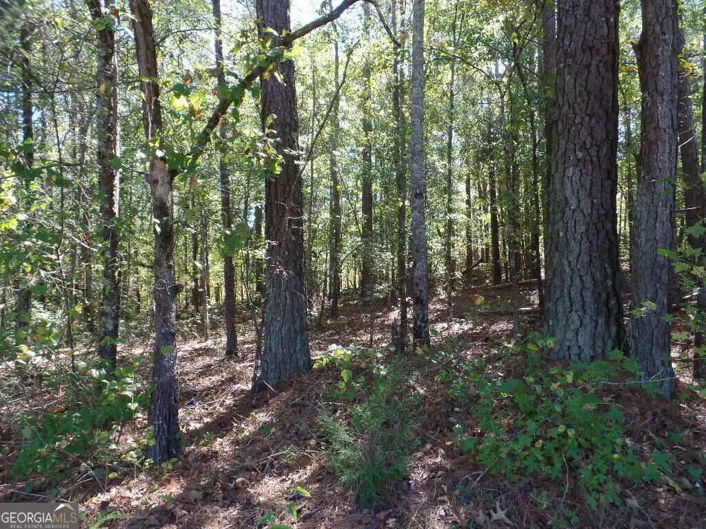 2.79 AC Dixon Rd, Newnan, GA 30263 - #1