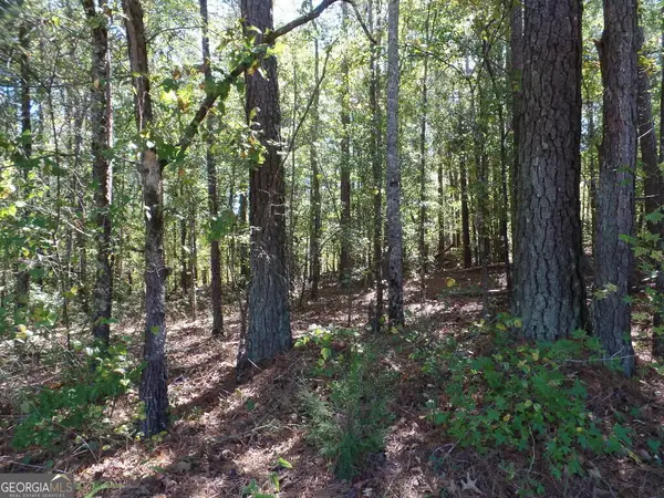 2.79 AC Dixon Rd, Newnan, GA 30263