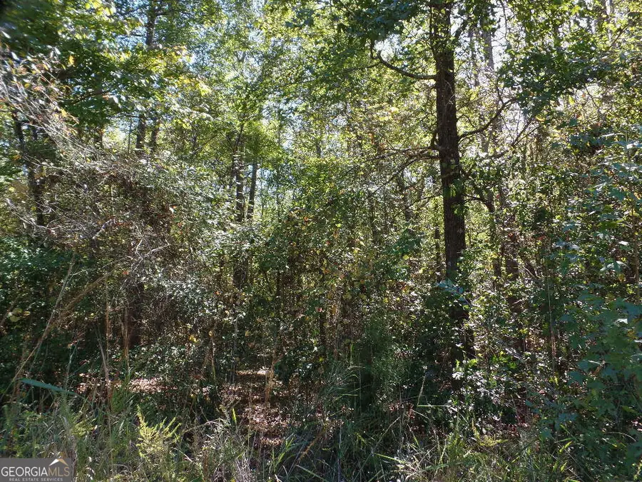 2.79 AC Dixon Rd, Newnan, GA 30263 - #2
