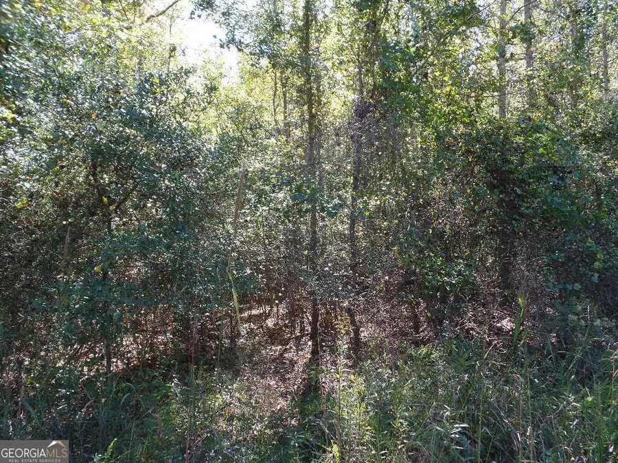 2.79 AC Dixon Rd, Newnan, GA 30263 - #3