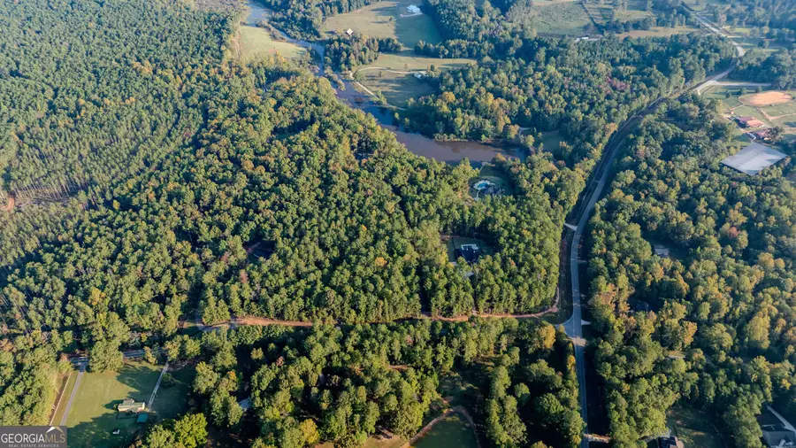 0 Deep South Road #LOT 2, Senoia, GA 30276 - #3