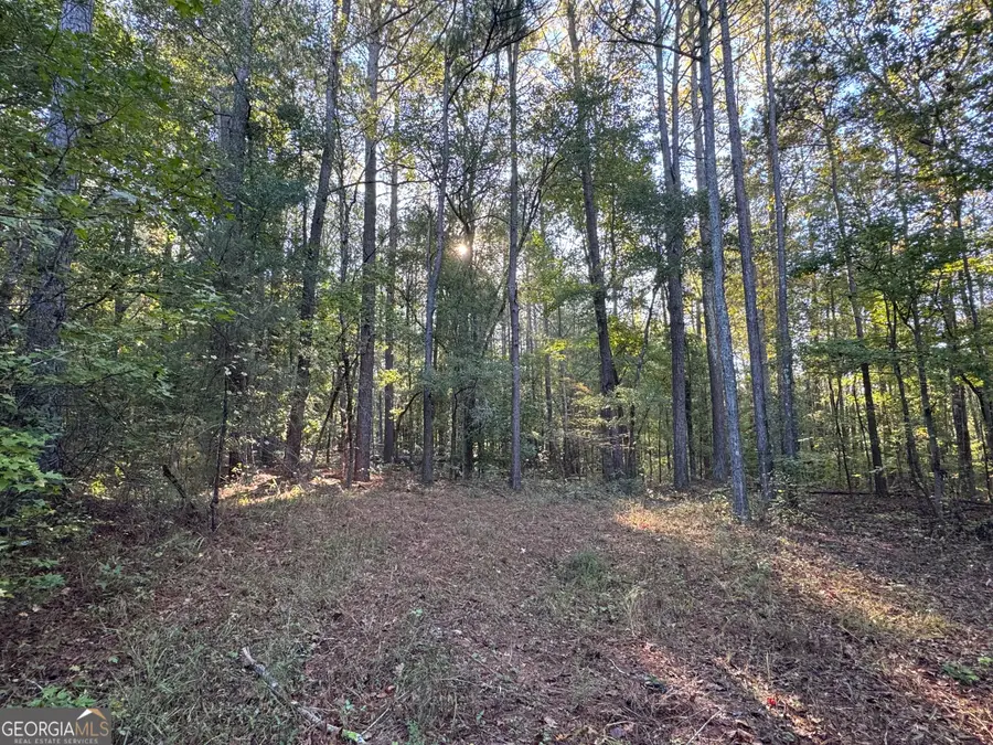 TRACT 13 Butler Road, Franklin, GA 30217 - #3