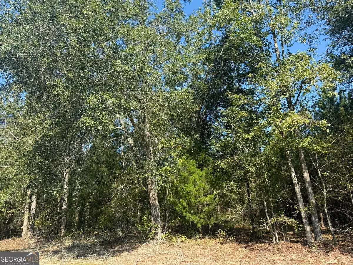 001 216 Highway, Arlington, GA 39813 - #1