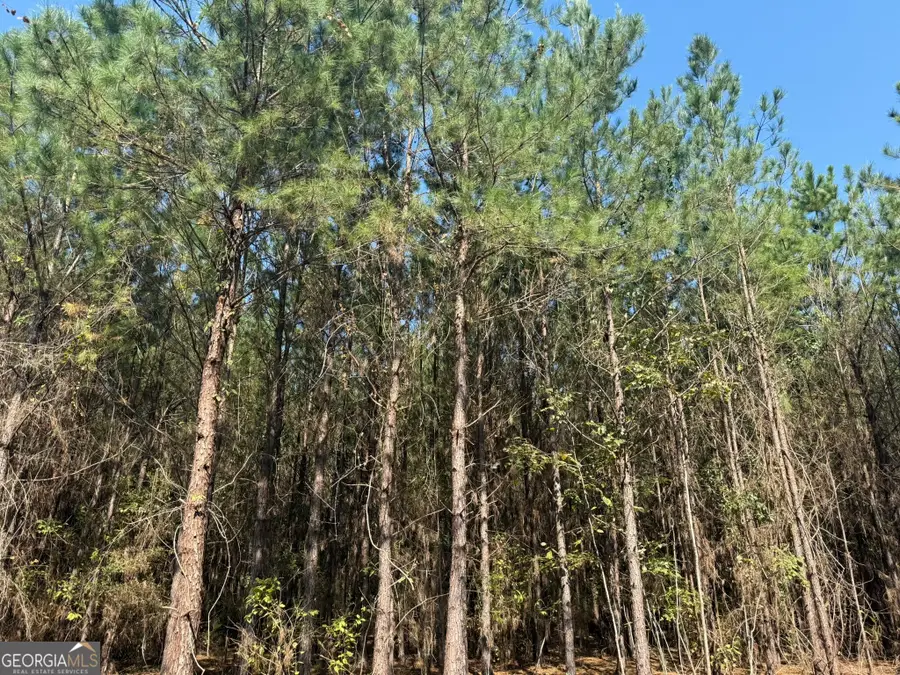 021 216 Highway, Arlington, GA 39813 - #3