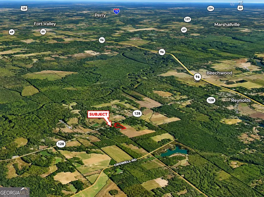 9.93 ACRES Park Avenue, Reynolds, GA 31076 - #3