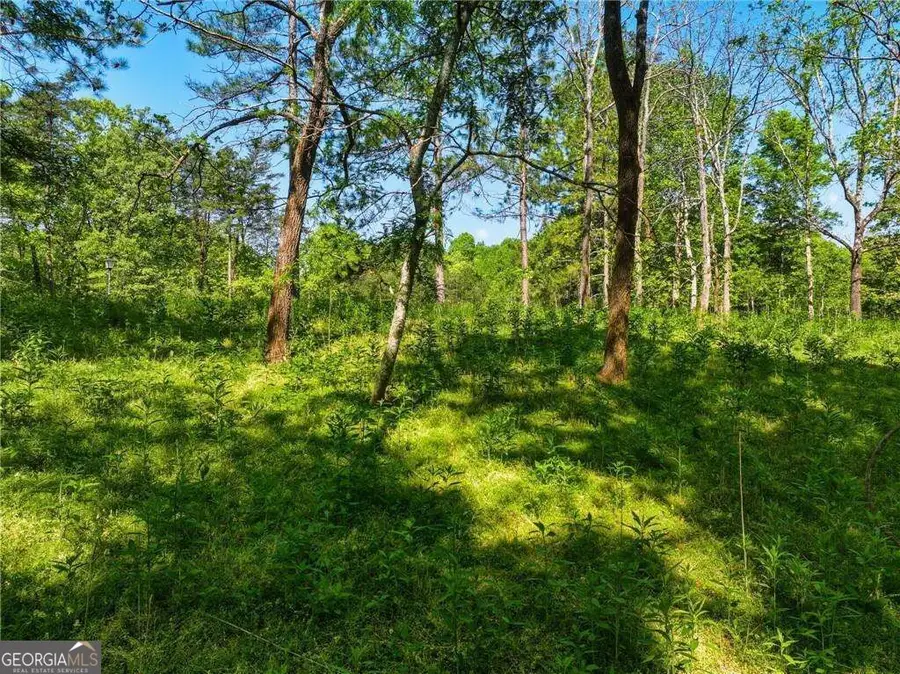 LOT 3 Summit Drive, Dahlonega, GA 30533 - #2
