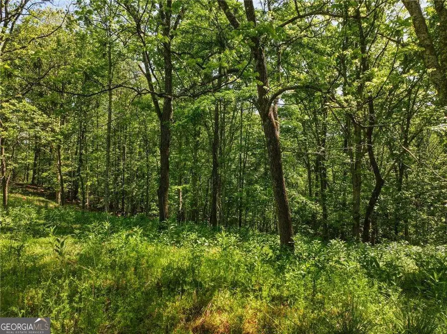 LOT 3 Summit Drive, Dahlonega, GA 30533 - #3