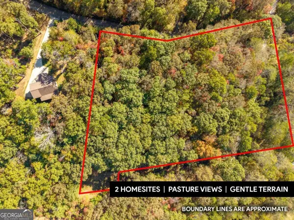3.14 AC Hot House Drive, Mineral Bluff, GA 30559