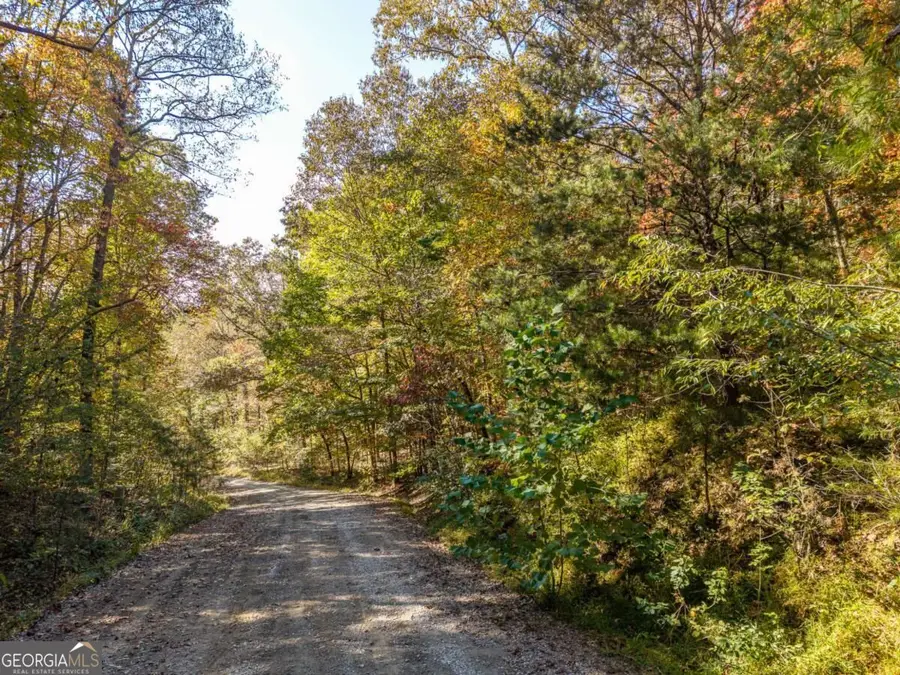 3.14 AC Hot House Drive, Mineral Bluff, GA 30559 - #2