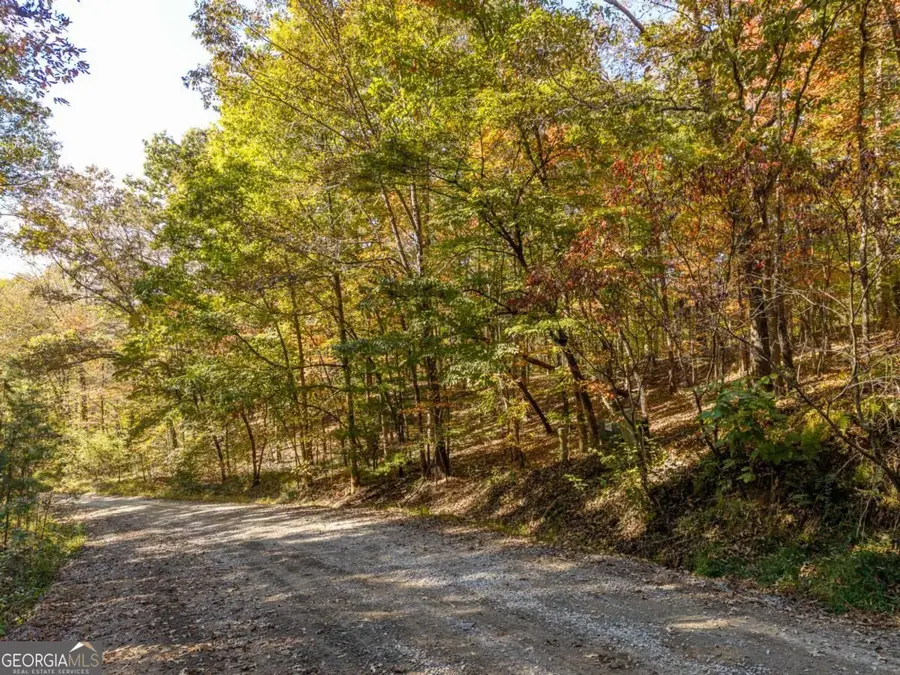 3.14 AC Hot House Drive, Mineral Bluff, GA 30559 - #3