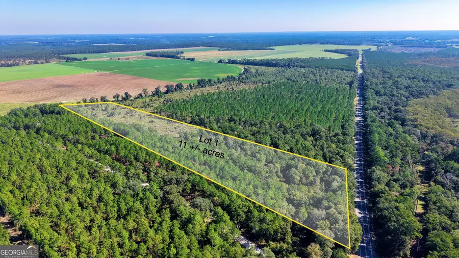 1 Old Pelham Road, Climax, GA 39834 - #2