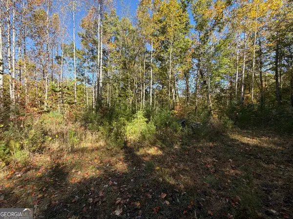 0 Benny Mtn Road #LOT A, Clayton, GA 30525