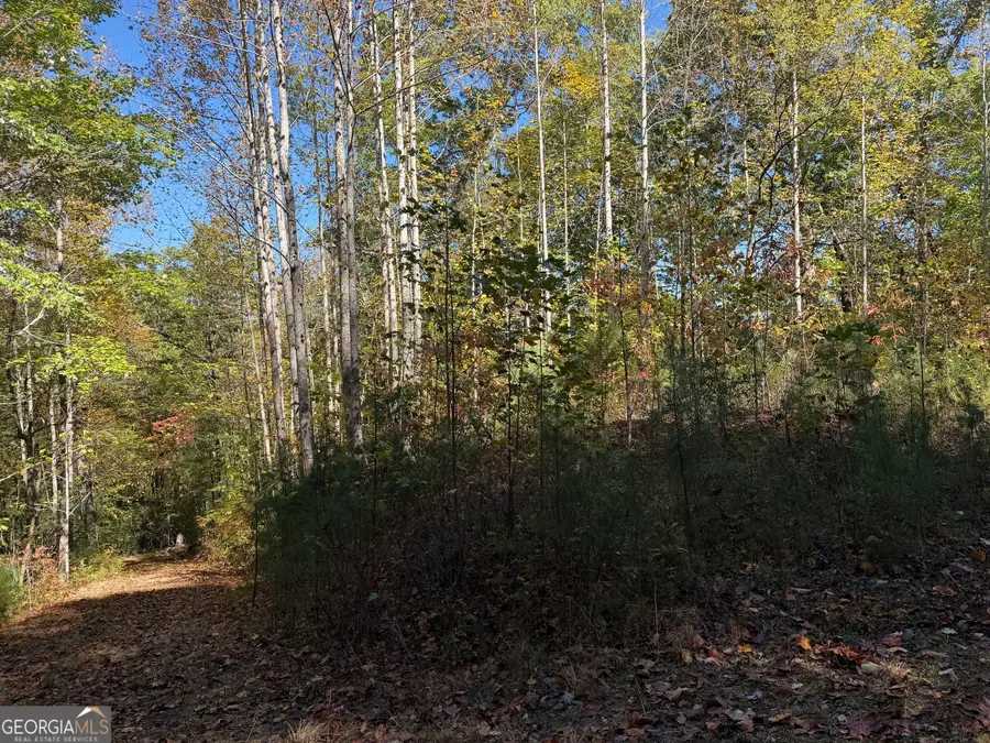 0 Benny Mtn Road #LOT A, Clayton, GA 30525 - #3