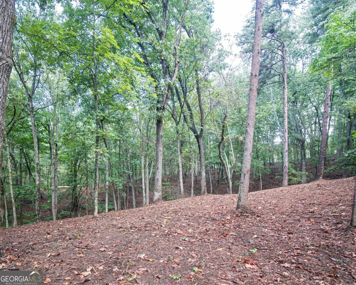 480 Pin Hook Road, Ranger, GA 30734 - #1