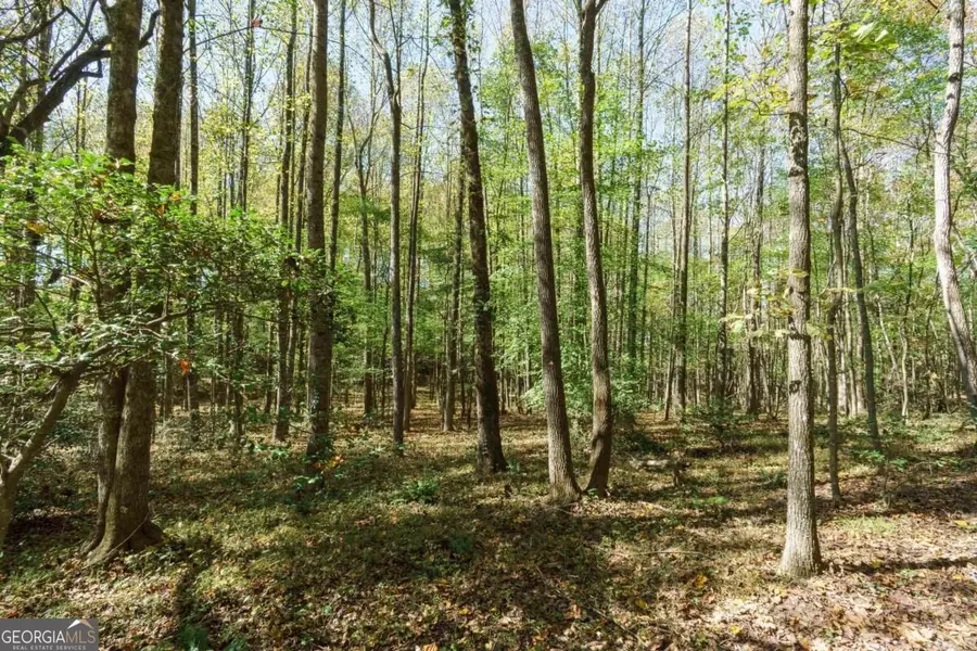 140 Highpoint Ridge Court #15, Ellijay, GA 30540 - #3