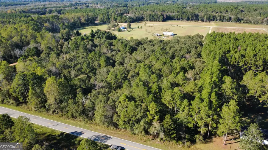 0 Delta Road, Fitzgerald, GA 31750 - #2