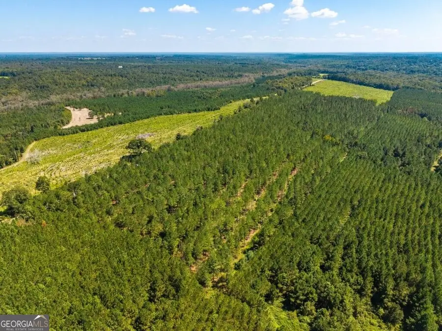 2 W State Route 90 Road #CEDAR CREEK FARM, Ideal, GA 31041 - #3