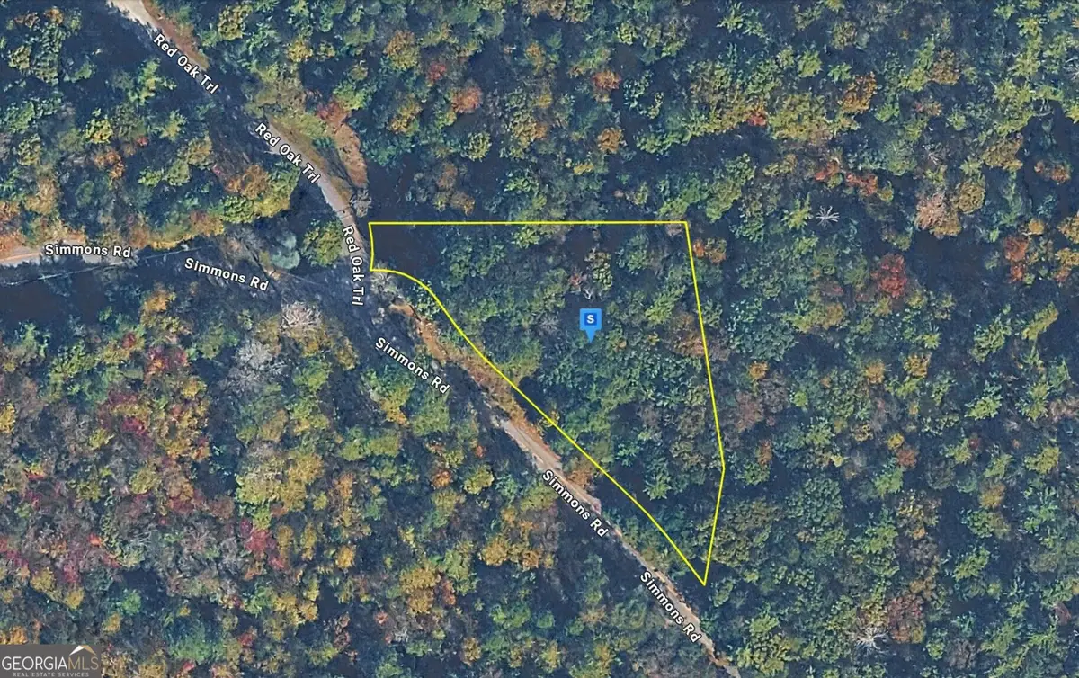 1720 Simmons Road, Ellijay, GA 30540 - #1