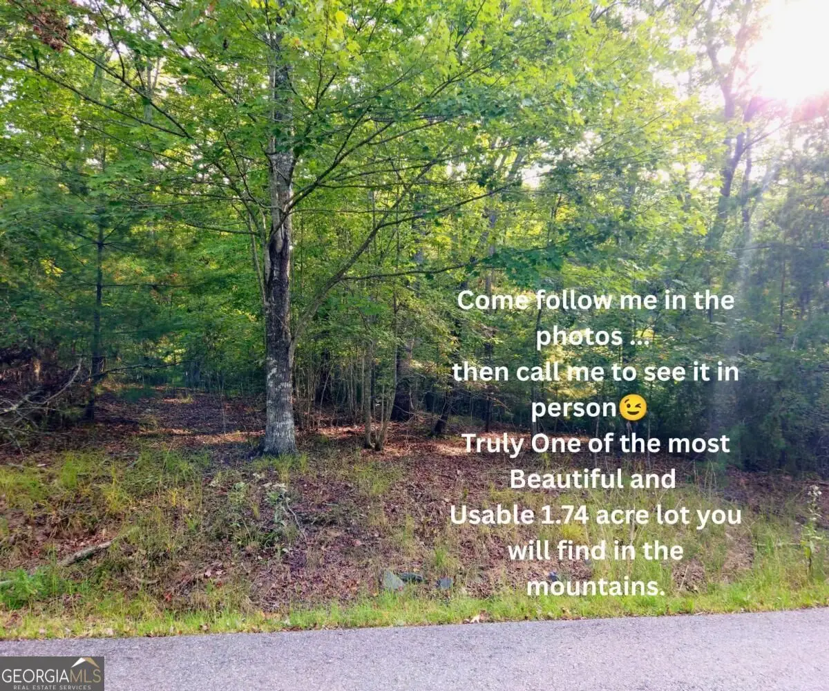 LOT 5 Lola Mae Way #5, Morganton, GA 30560 - #1