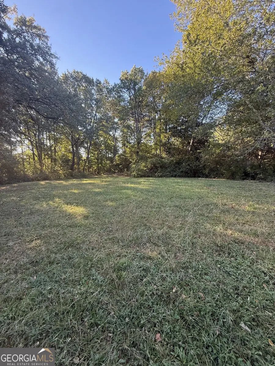 338 Thomas Dorsey Drive, Villa Rica, GA 30180 - #2