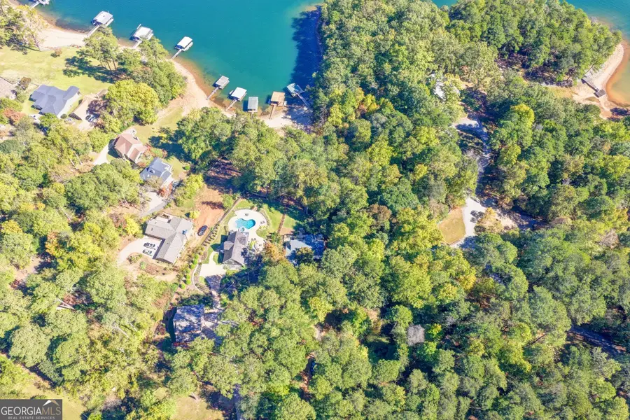 3235 Chimney Cove Drive, Cumming, GA 30041 - #2