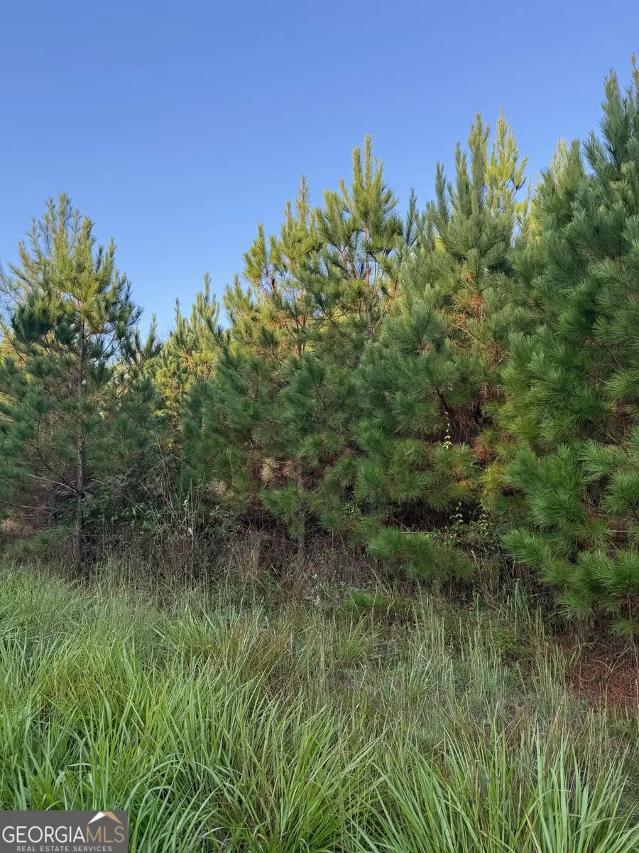 0 Lower Harmony Road, Eatonton, GA 31024 - #3