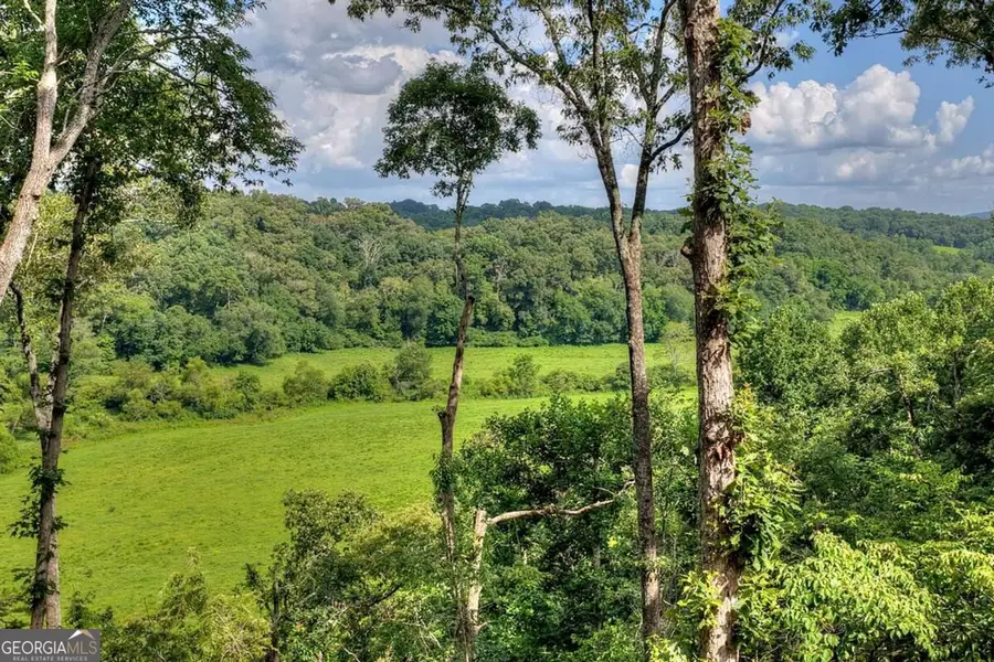 1729 Barnes Chapel Road #5, 6 ,7, Blue Ridge, GA 30513 - #3