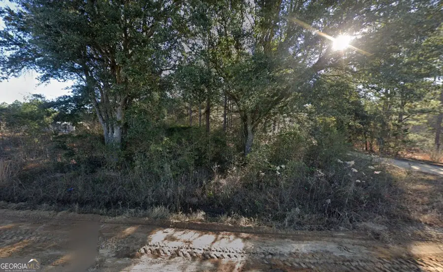 2125 Massey Airport Road, Sylvester, GA 31791 - #2