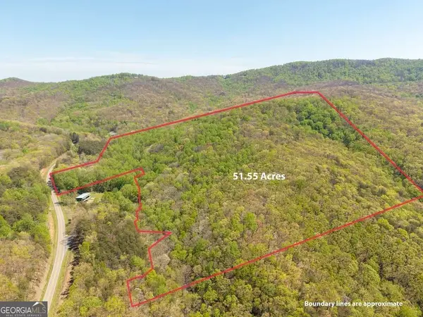 000 Burnt Mountain Road, Ellijay, GA 30536