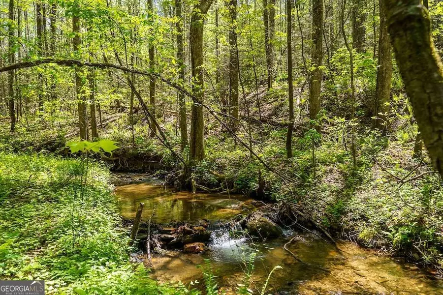 000 Burnt Mountain Road, Ellijay, GA 30536 - #2