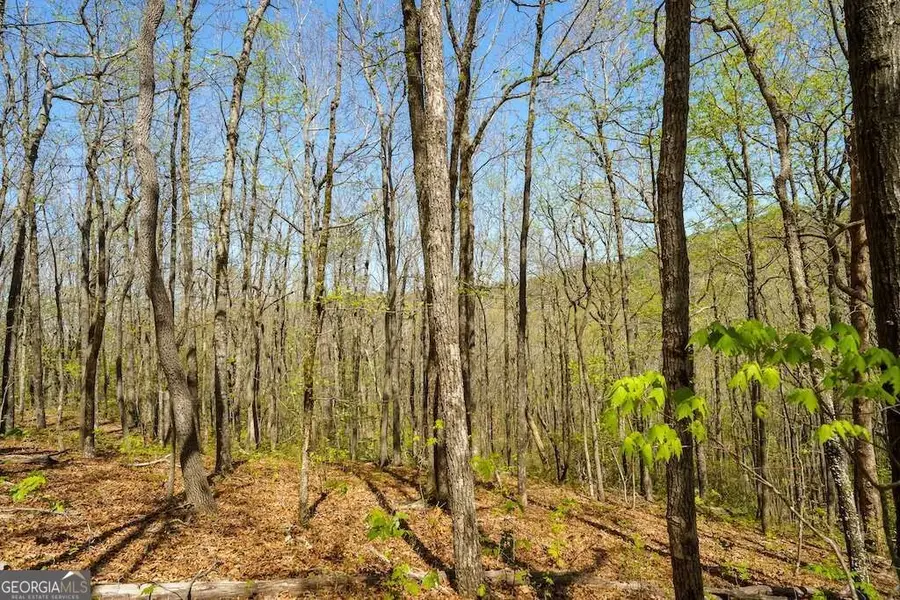 000 Burnt Mountain Road, Ellijay, GA 30536 - #3