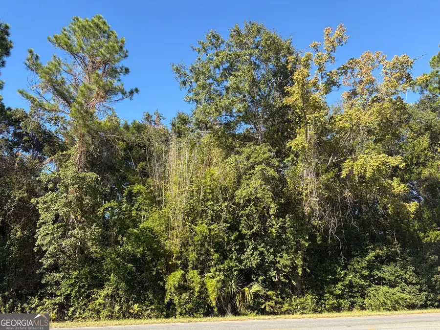 1.84 ACRES Carswell Ave, Waycross, GA 31503 - #2