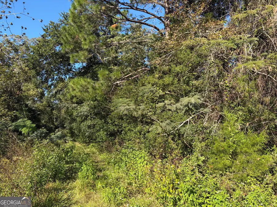 1.84 ACRES Carswell Ave, Waycross, GA 31503 - #3