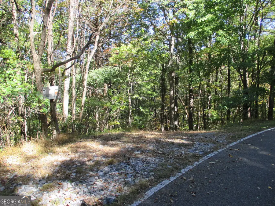 LOT 54 High Cliff Road, Jasper, GA 30143 - #2