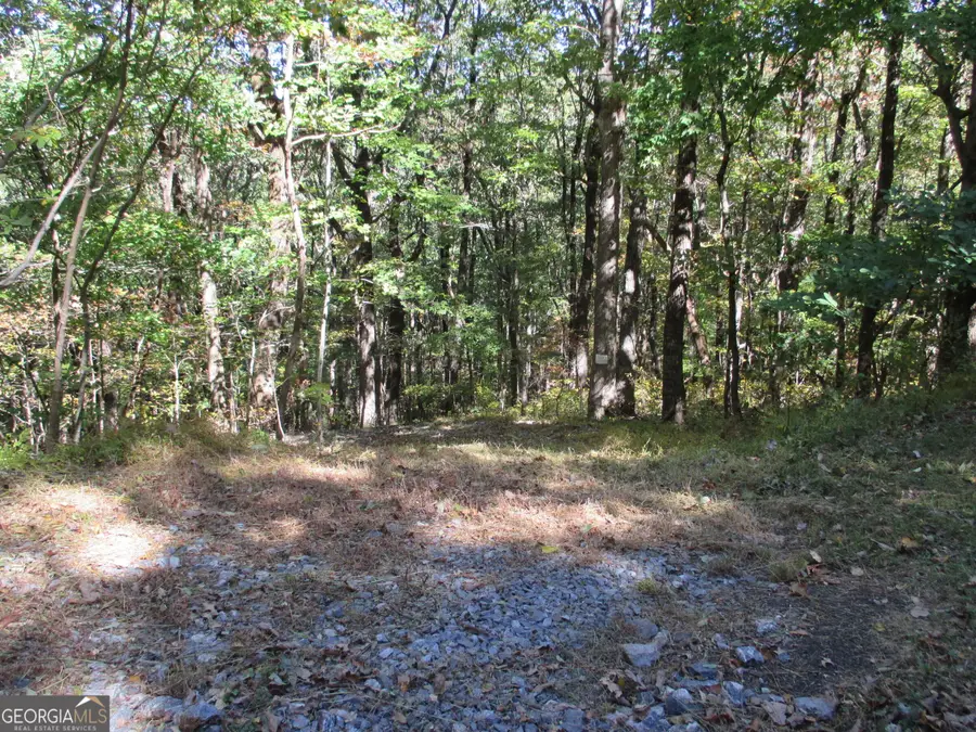 LOT 54 High Cliff Road, Jasper, GA 30143 - #3