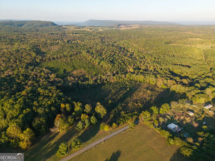 0 Gilreath Mill Road, Menlo, GA 30731 - #2