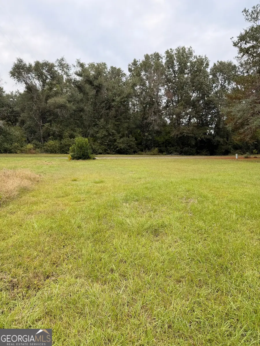 0 Mary Street, Midville, GA 30441 - #2