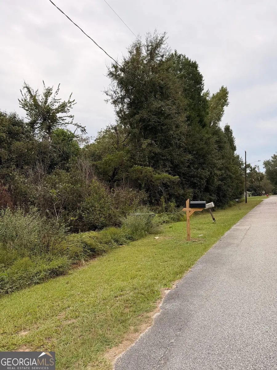 0 Mary Street, Midville, GA 30441 - #3