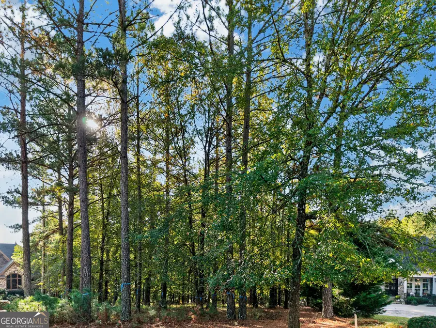 1051 Bridle Bit Lane, Greensboro, GA 30642 - #2